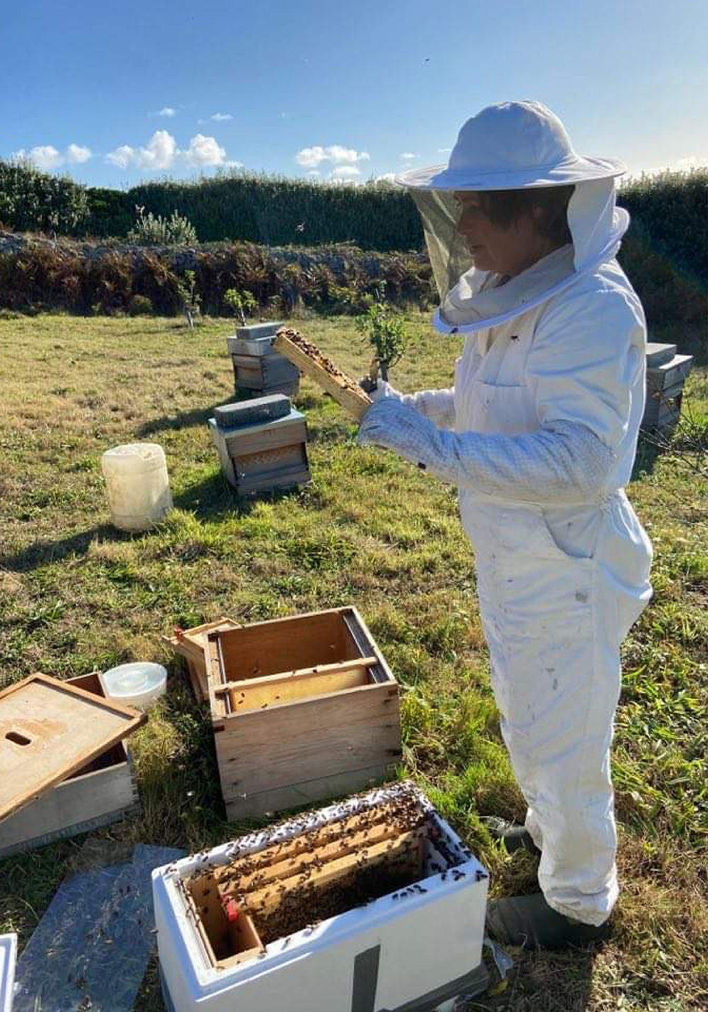 Bee keeper on Scilly Isles
